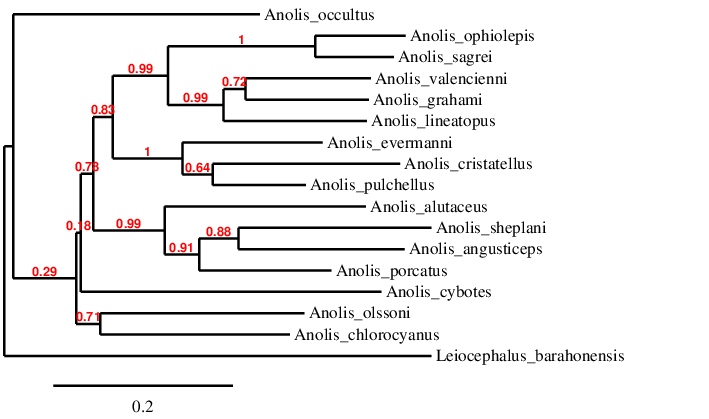 result tree