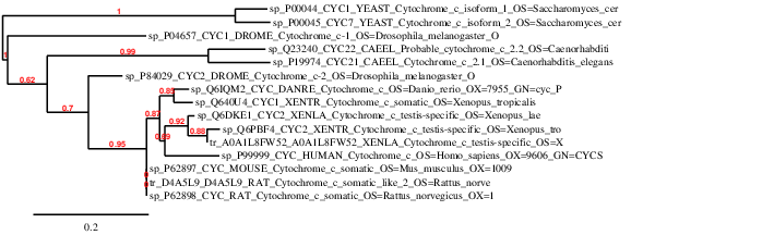 result tree
