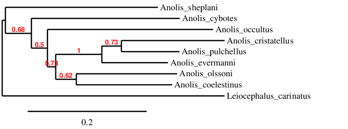 result tree