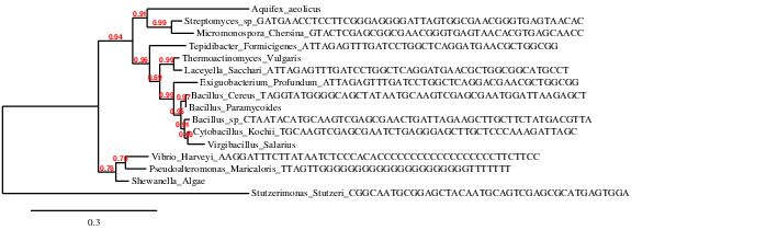 result tree