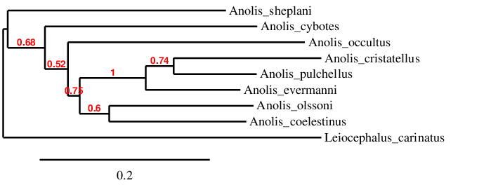 result tree
