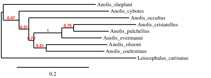 result tree