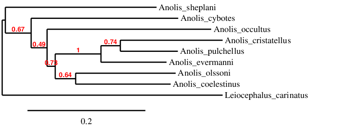 result tree