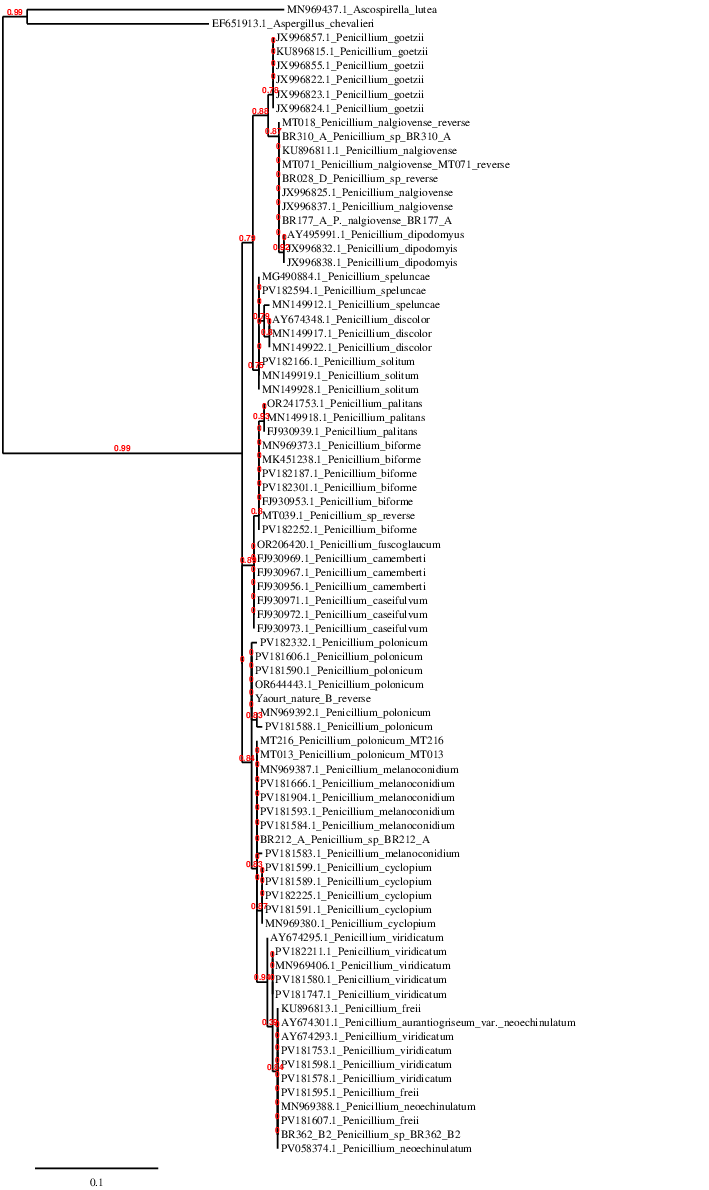 result tree