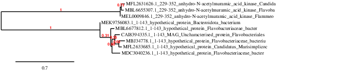 result tree