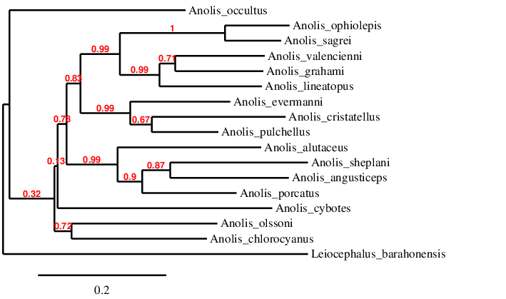 result tree