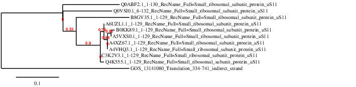 result tree