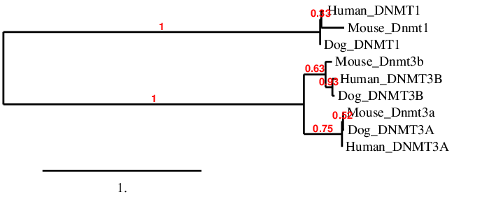result tree