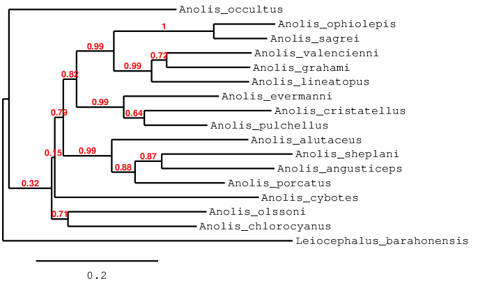 result tree