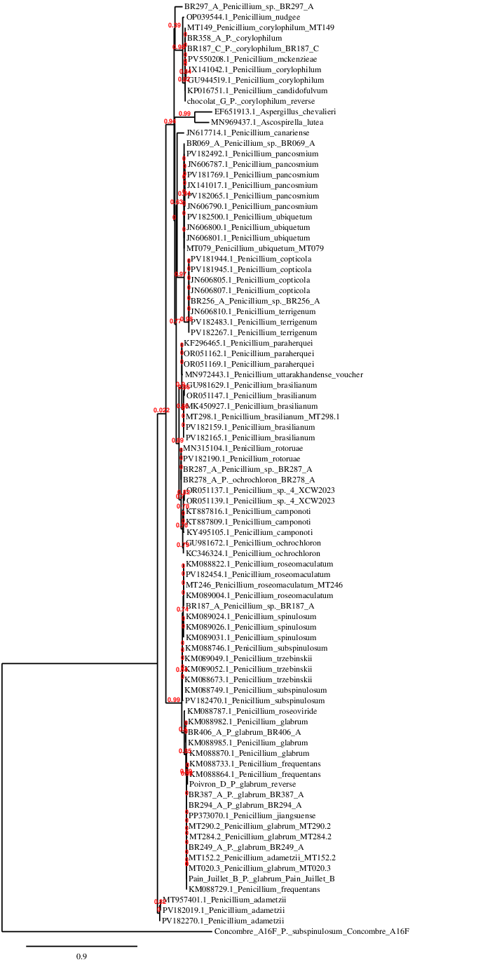result tree